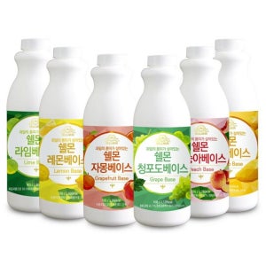 과일 농축액 베이스 1kg 모음전/시럽/원액/에이드 자몽 자두 레몬 복숭아 카페용 베이스