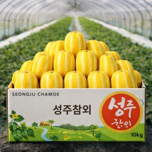 제철 성주참외 특품 1kg 2kg 3kg 5kg 10kg 산지직송