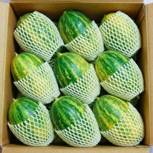 파파야 멜론 2kg 해나미 참외 같은 미니 멜론 꿀당도