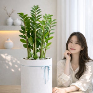 금전수 개업 축하화분 선물