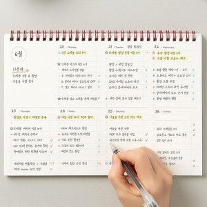 위클리 체크 리스트 계획표 플래너 투두 학습 주간 스터디 업무 일상 todolist