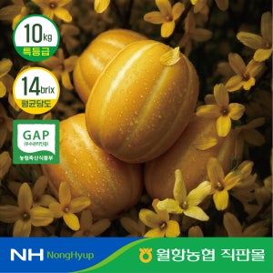 10kg 특등급 월항농협 성주 고당도 꿀 인생참외 프리미엄 선물용