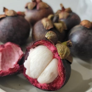 열대과일의 여왕 프리미엄 생 망고스틴 5kg, 1개