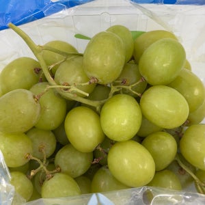 수입 오톰크리스피 포도 씨없는포도 아삭한청포도 800g, 3개