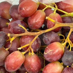 체리크러쉬 파이어크런치 씨없는포도 체리빛 자홍색 레드 수입포도 800g, 3개