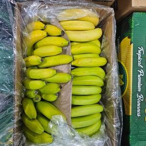 고당도 수입 고산지 바나나 1.4kg, 10개