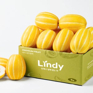 린디 성주 꿀참외 고당도 특등급 가정용 참외 특, 10kg, 1개