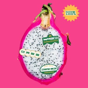 [고당도 용과] 신품종 사막 용과 레드 적용과 백용과