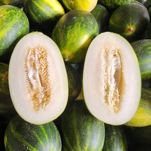 파파야멜론 머스크 칸탈로프 하미과 백자 하니원 세지 멜론 허니듀 메론