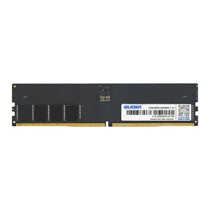 GUDGA DDR5 PC5-44800 CL46 16GB, 1개