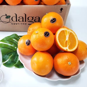 블랙라벨 퓨어스펙 고당도 오렌지 6kg(40입)