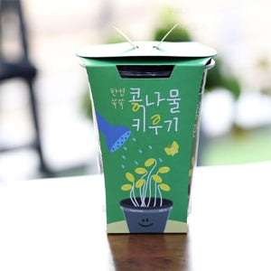 콩나물 키우기 (화분 재배 키트) 유아 어린이 자연 과학 관찰 교구 식물 재배