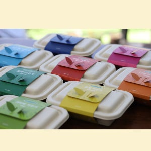 건강 새싹 채소 키트 (무순 브로콜리 다채 유채 알파파 밀싹 귀리싹 보리싹) 화분 키우기