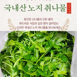 국내산 싱싱한 노지 취나물 봄나물 제철 나물 500g, 1kg