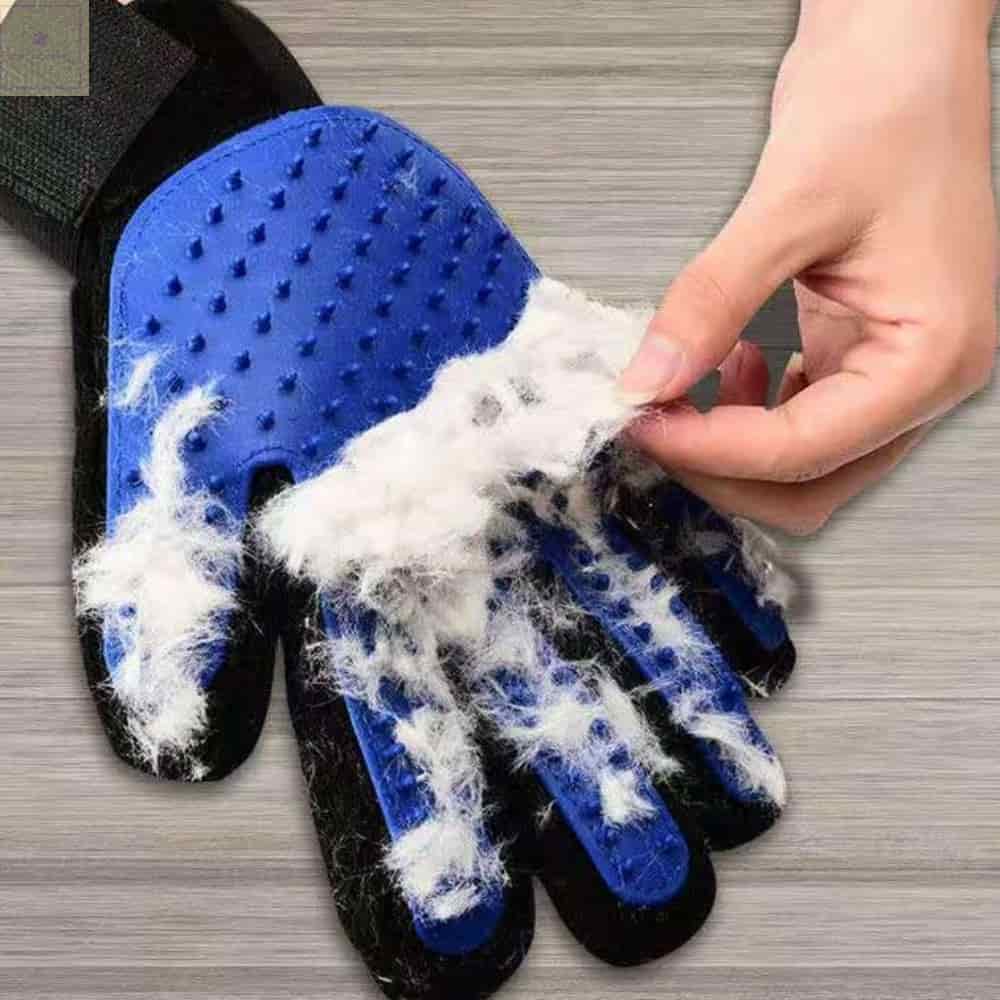 펫 그루밍 샵 예약