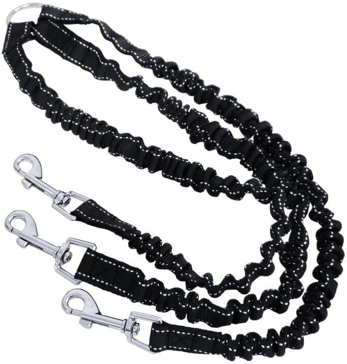 개 훈련 전문가 (Dog Training Expert)