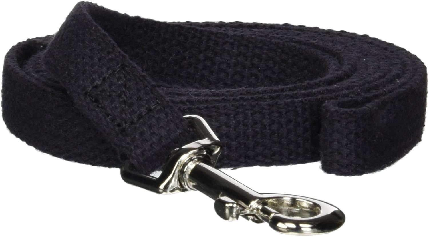 개 훈련 전문가 (Dog Training Expert)