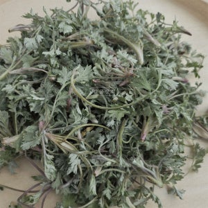 대용량 노지 쑥 생쑥 지리산 백운산 봄나물 산나물 제철 국내산 2kg