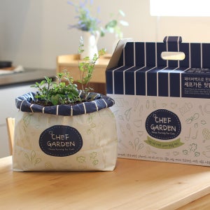 친환경 종이 페이퍼백 화분 키우기 텃밭세트 (씨앗 4종 포함 - 고수 루꼴라 바질 세이지)