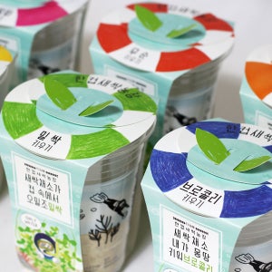 한컵 새싹 농장 화분 재배 키트 (무순 밀싹) 초등학교 유치원 어린이집 자연관찰 필수 교구