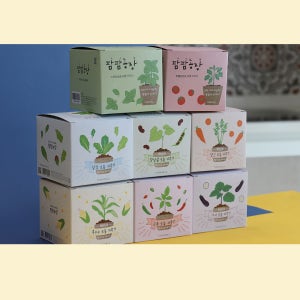 팜팜 농장 화분 재배 키트 (방울토마토 바질 강낭콩 옥수수 가지 당근 고추 상추) 자연관찰