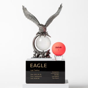 이글패 홀인원패 골프싱글패 언더파트로피 싸이클버디 기념패 주문제작 A006 Eagle