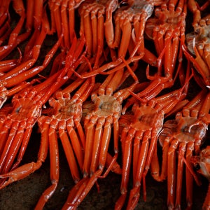 대끼리네 동해 청정 구룡포 홍게 4kg, 6kg 자숙 박달 홍게