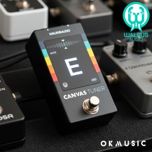 Walrus Audio Canvas Tuner 월러스 오디오 캔버스 기타 페달 튜너