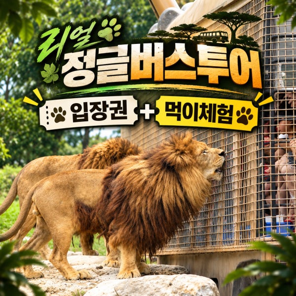 인타임투어 [후쿠오카 사파리 정글버스투어] 후쿠오카 벳푸 아프리칸사파리 유후인 일본여행(입장료포함)