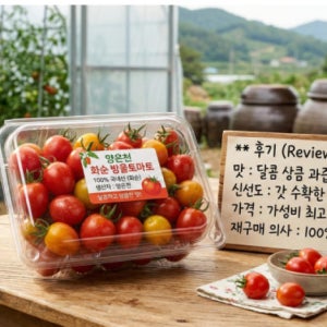 [GAP인증] 전남 화순 산지직송 싱싱 방울토마토 5kg (당일수확)