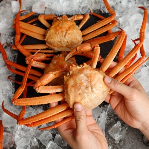 제철 홍게 붉은 대게 구룡포 속초 포항 자숙 박달홍게