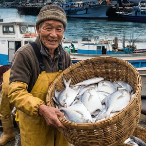 신선한 국내산 최상급 병어 3kg