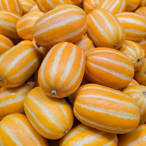 고당도 성주 꿀참외 산지직송 선물용 참외 5kg 10kg
