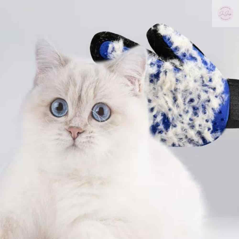 펫 그루밍 샵 예약