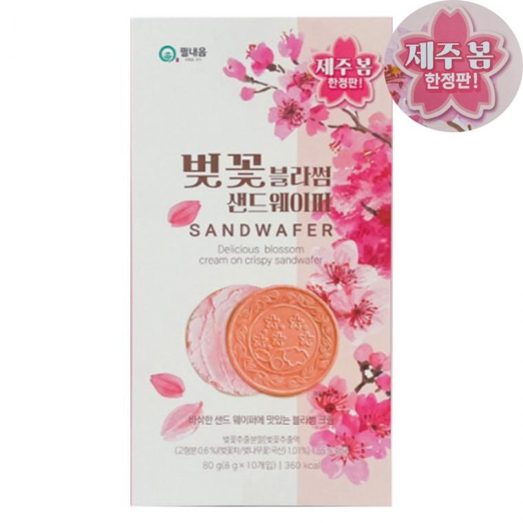 벚꽃샌드웨이퍼 인기템 한정판 기획상품 제주봄
