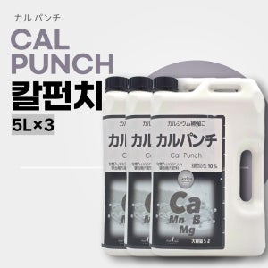 칼펀치 5L 3개 칼슘영양제 흡수율 높고 이동성 좋은 유기산 구연산칼슘 우리농약종묘사