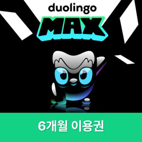 (주문즉시 전송) 듀오링고 max 패밀리 6개월 듀오링고 맥스