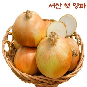 우리마을 산지직송 국내산 단단한 서산 햇양파/깐양파