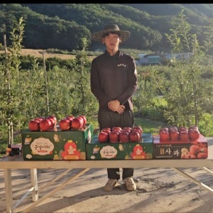 5kg 문경사과 환영농장 꿀사과 홍로