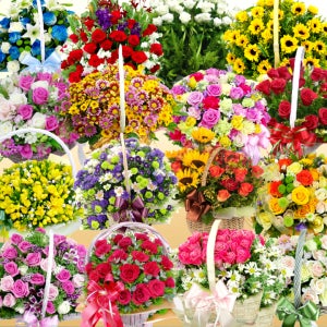 충주 생일 기념일 프러포즈 축하 꽃바구니 배달 감사 카네이션 바구니 배달 전국 당일꽃배달