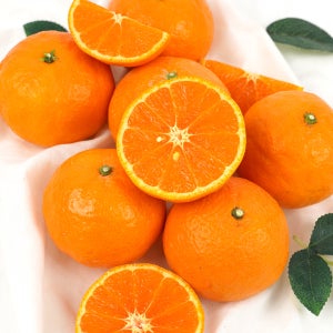 제주 카라향 2.5kg(12brix 이상)