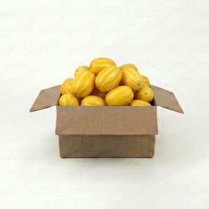 프리미엄 고당도 성주 참외 가정용 꿀참외 크기 랜덤과, 10kg, 1개