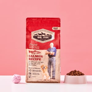 프리미엄 강아지 사료 연어 2kg, 1개