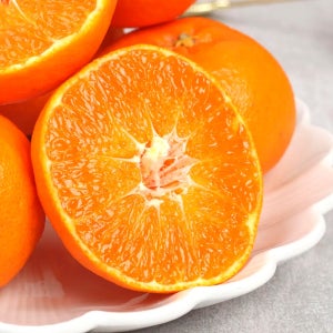 제주 카라향 고당도감귤 대용량 대과, 5kg, 1개