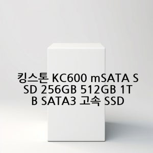 킹스톤 KC600 mSATA SSD 256GB 512GB 1TB SATA3 고속 SSD