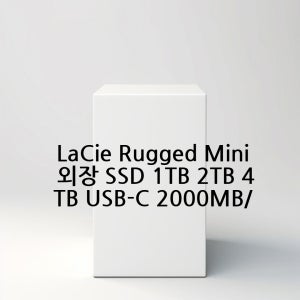 LaCie Rugged Mini 외장 SSD 1TB 2TB 4TB USB-C 2000MB/s