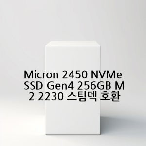 Micron 2450 NVMe SSD Gen4 256GB M.2 2230 스팀덱 호환