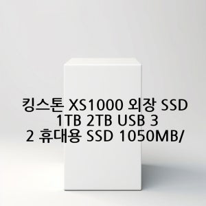 킹스톤 XS1000 외장 SSD 1TB 2TB USB 3.2 휴대용 SSD 1050MB/s