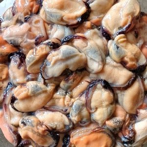 당일채취 남해안 통통 생홍합살 1kg,