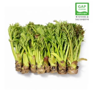 농진사 참두릅 국내산 특품 나무드룹 봄나물 2.6kg, 1개